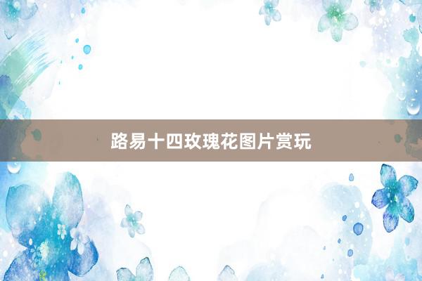 路易十四玫瑰花图片赏玩