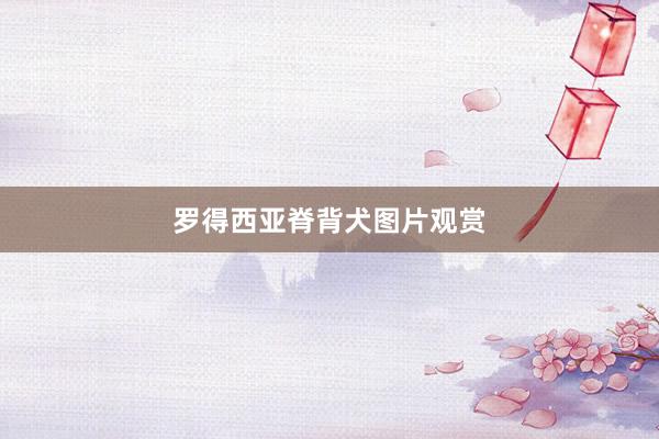 罗得西亚脊背犬图片观赏
