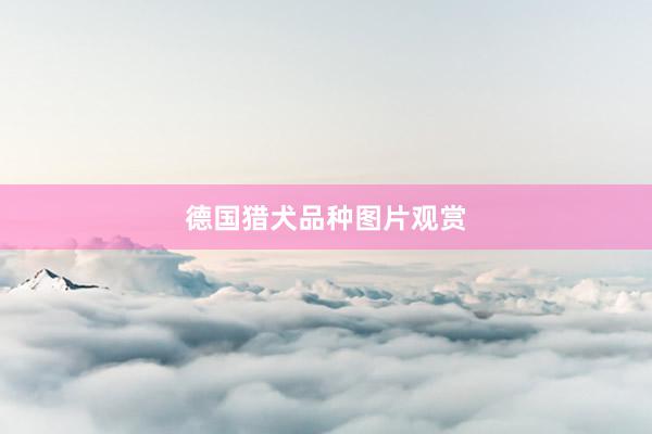 德国猎犬品种图片观赏