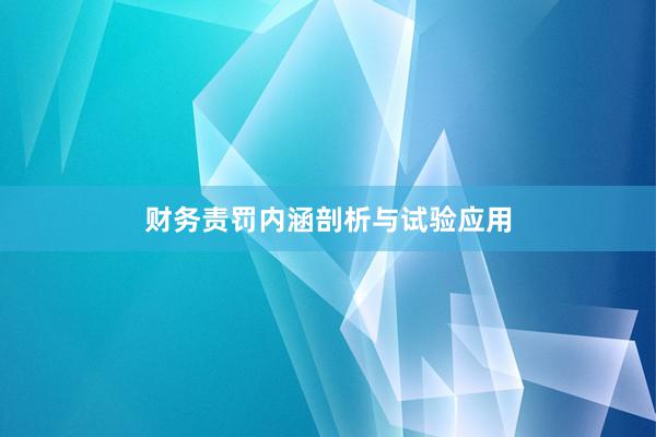 财务责罚内涵剖析与试验应用